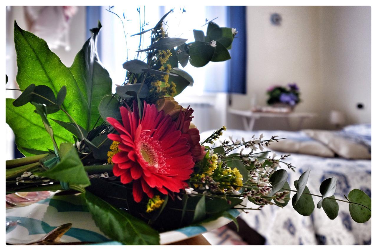 La Casa Sul Molo Bed and Breakfast Βιαρέτζιο Εξωτερικό φωτογραφία